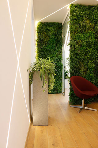 Charney Daly Corporate